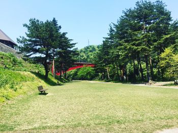 Trees on field against clear sky