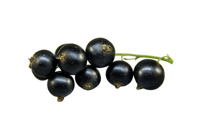 Close-up of grapes against white background