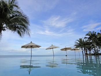 Palm trees by swimming pool against sky