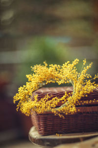 Close-up of yellow flowers in basket on table