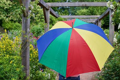 Person with colorful umbrella standing on pathway in yard