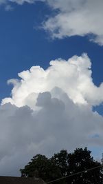 Low angle view of trees against sky