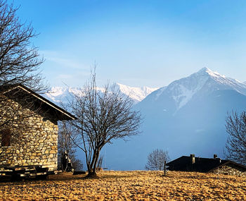 Bare trees on snowcapped mountain against sky