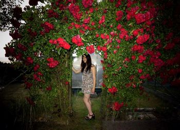 Full length of woman standing at archway covered with red flowers plant