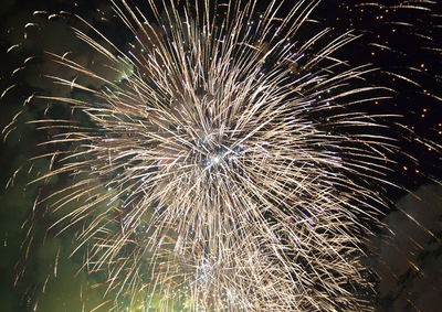 Low angle view of firework display at night