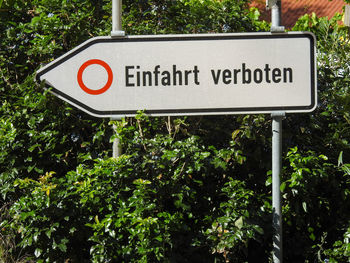 Close-up of information sign against trees