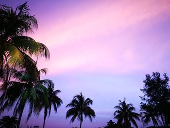 Low angle view of silhouette trees against sky