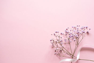 Close-up of flowers in vase against pink background