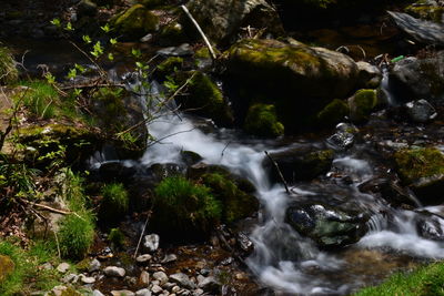 Stream flowing through rocks in forest