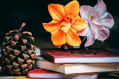 Close-up of flower pots on table