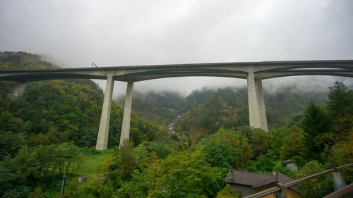 Arch bridge in forest against sky