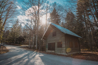 Road amidst trees and buildings against sky