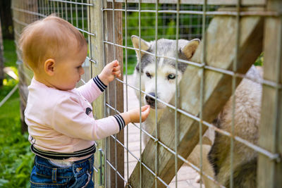 Cute baby looking at dog in cage