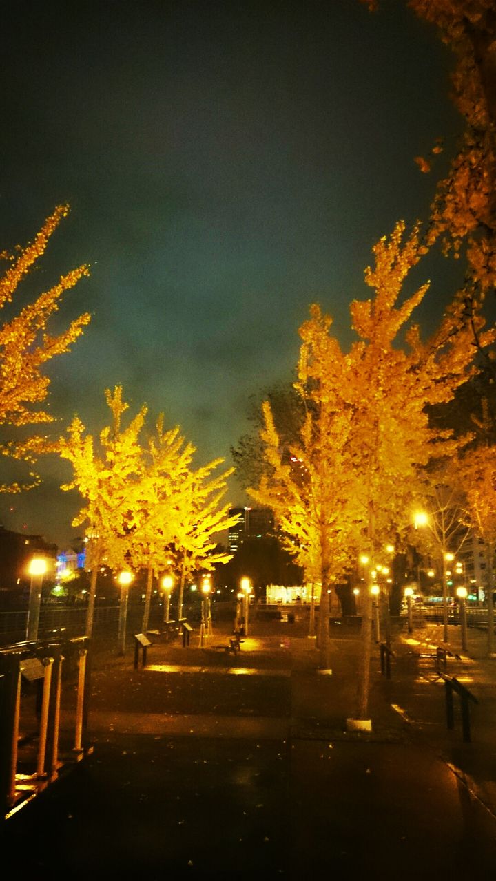 VIEW OF ILLUMINATED STREET LIGHT AT NIGHT