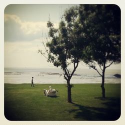 Scenic view of sea against sky