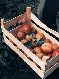 High angle view of apples in crate