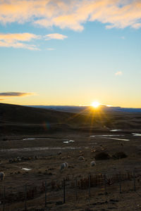 Scenic view of sunset