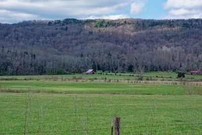 Scenic view of field against sky