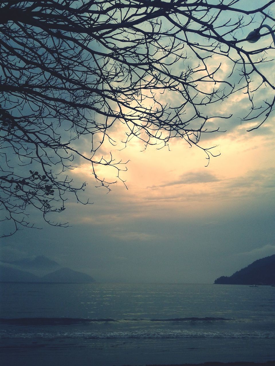 tranquility, tranquil scene, sea, scenics, water, beauty in nature, sky, horizon over water, nature, silhouette, sunset, branch, tree, idyllic, bare tree, beach, dusk, cloud - sky, shore, outdoors