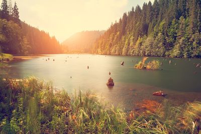 Scenic view of river by trees against sky at morning