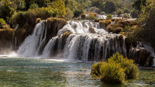 Scenic view of waterfall in forest