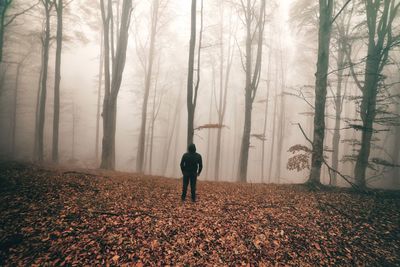 Full length of woman standing amidst trees in forest during winter