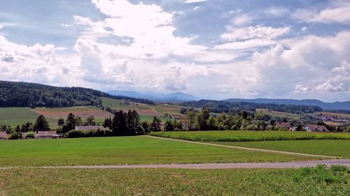 Scenic view of field against sky