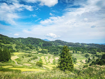 Scenic view of agricultural field against sky