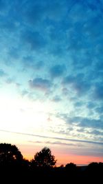 Silhouette of trees against sky at sunset