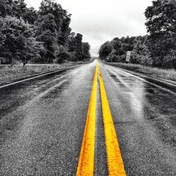 Empty road along trees