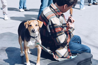 Portrait of dog