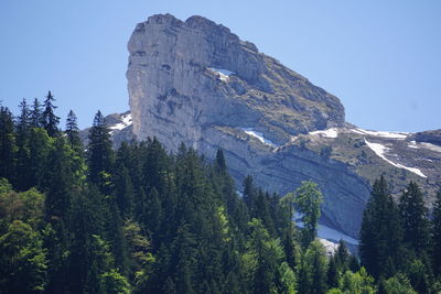 Panoramic view of trees and mountains against clear sky