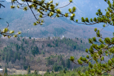 Scenic view of tree mountains against sky