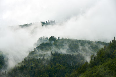 Scenic view of waterfall in forest against sky