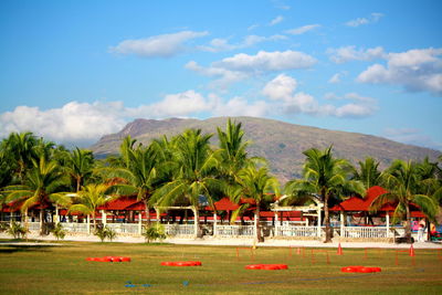 Palm trees on field against sky