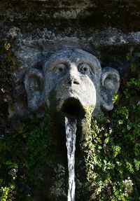 Close-up of fountain against plants