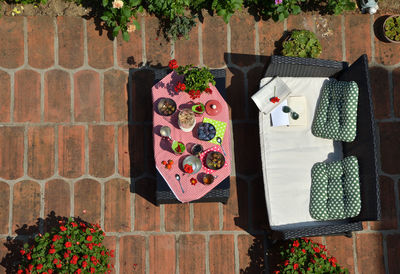 Bird's eye view of garden furniture with served table surrounded with flowers and plants