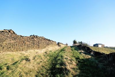 Grassy walkway against clear blue sky