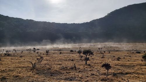 Scenic view of land against sky