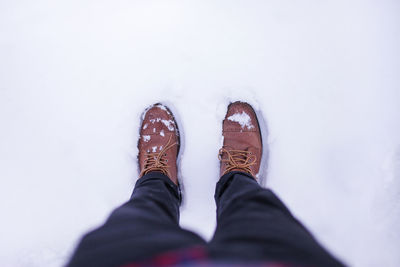 Low section of person standing in snow