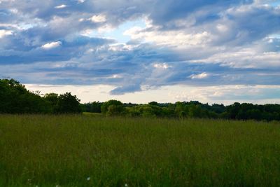 Scenic view of grassy field against cloudy sky