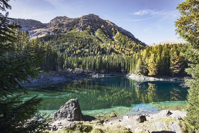 Scenic view of lake in forest against sky