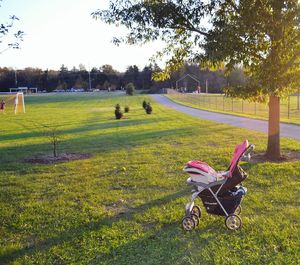 Horse cart on field against trees in park