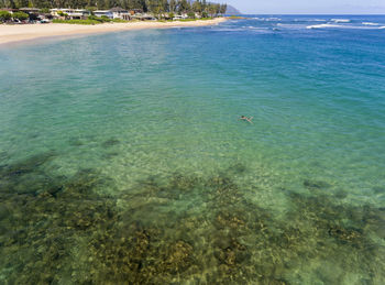 High angle view of bird on beach against sky