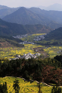 High angle view of trees on landscape