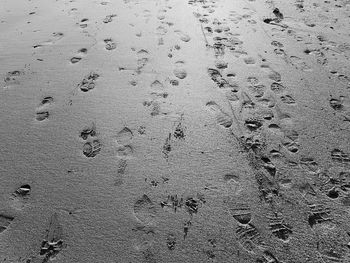 Close-up of footprints on sand