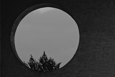 Low angle view of trees against sky