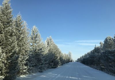 Road amidst trees against sky during winter