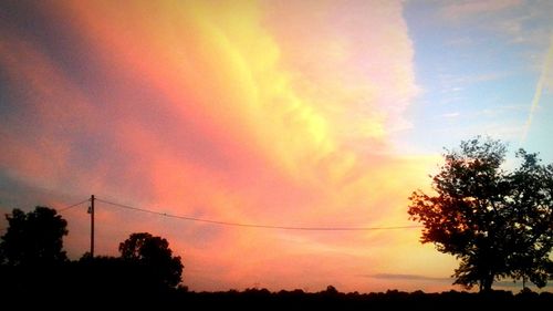 Low angle view of silhouette trees against sky during sunset