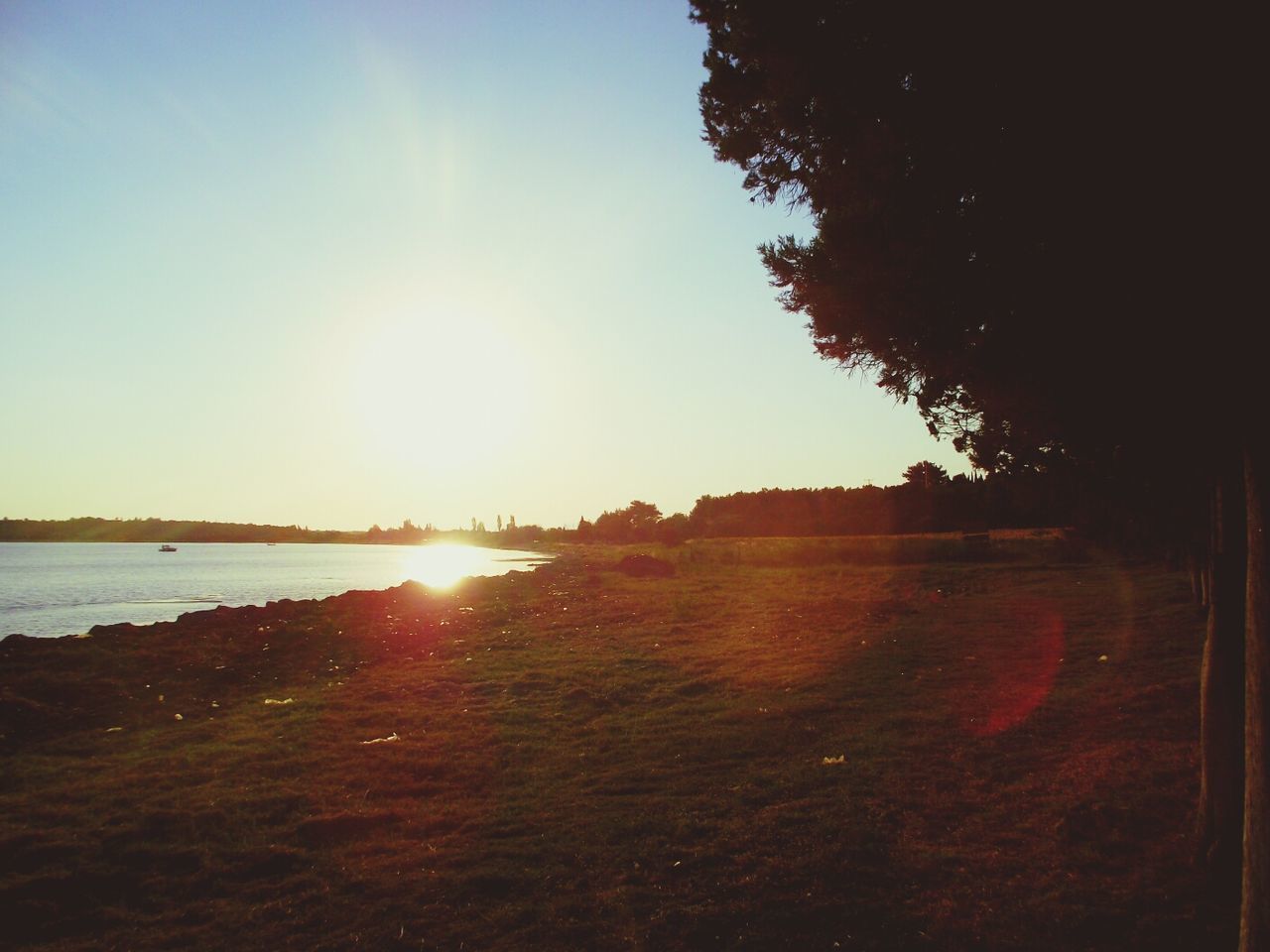 sun, tranquil scene, sunlight, tranquility, water, sunset, scenics, sunbeam, lens flare, beauty in nature, sky, nature, tree, idyllic, beach, lake, reflection, clear sky, sea, outdoors